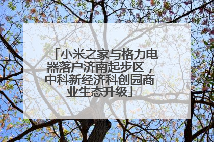 小米之家与格力电器落户济南起步区，中科新经济科创园商业生态升级