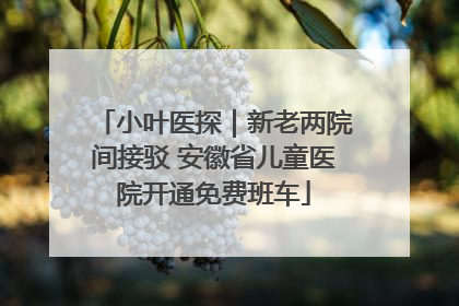 小叶医探｜新老两院间接驳 安徽省儿童医院开通免费班车