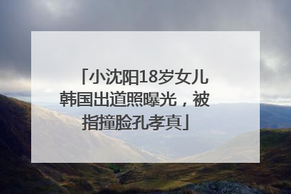 小沈阳18岁女儿韩国出道照曝光，被指撞脸孔孝真