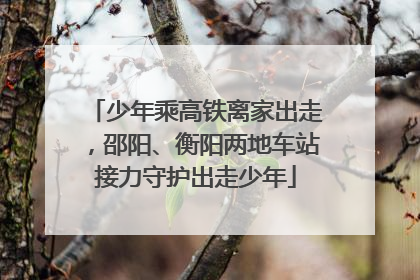 少年乘高铁离家出走，邵阳、衡阳两地车站接力守护出走少年
