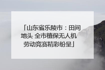 山东省乐陵市：田间地头 全市植保无人机劳动竞赛精彩纷呈