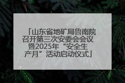 山东省地矿局鲁南院召开第三次安委会会议暨2025年“安全生产月”活动启动仪式