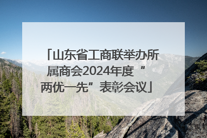 山东省工商联举办所属商会2024年度“两优一先”表彰会议