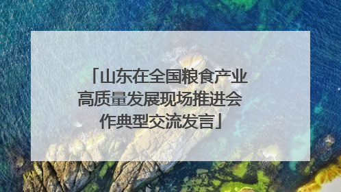 山东在全国粮食产业高质量发展现场推进会作典型交流发言