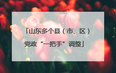 山东多个县（市、区）党政“一把手”调整