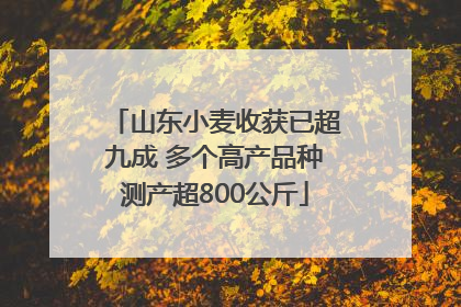 山东小麦收获已超九成 多个高产品种测产超800公斤