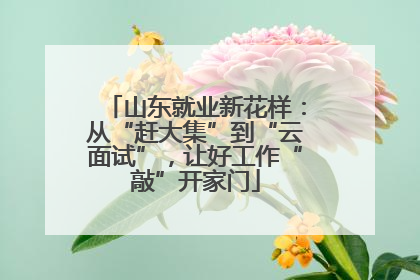 山东就业新花样：从“赶大集”到“云面试”，让好工作“敲”开家门