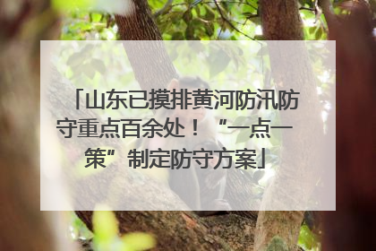 山东已摸排黄河防汛防守重点百余处！“一点一策”制定防守方案