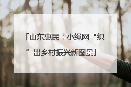 山东惠民：小绳网“织”出乡村振兴新图景