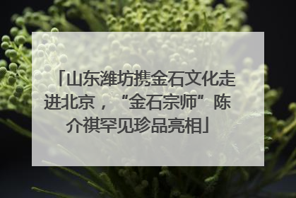 山东潍坊携金石文化走进北京，“金石宗师”陈介祺罕见珍品亮相