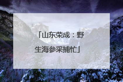 山东荣成：野生海参采捕忙