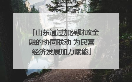 山东通过加强财政金融的协同联动 为民营经济发展加力赋能