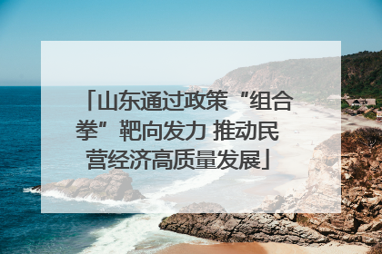 山东通过政策“组合拳”靶向发力 推动民营经济高质量发展