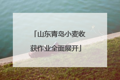 山东青岛小麦收获作业全面展开