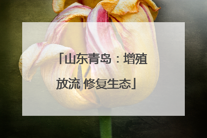 山东青岛：增殖放流 修复生态