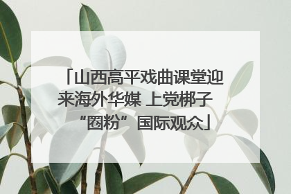 山西高平戏曲课堂迎来海外华媒 上党梆子“圈粉”国际观众