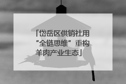 岱岳区供销社用“全链思维”重构羊肉产业生态