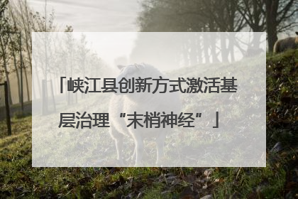 峡江县创新方式激活基层治理“末梢神经”
