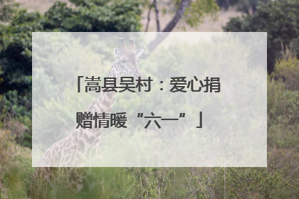 嵩县吴村：爱心捐赠情暖“六一”