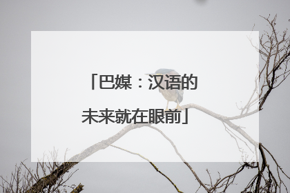 巴媒：汉语的未来就在眼前