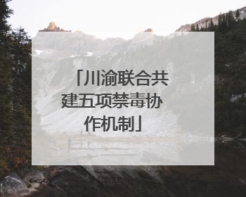 川渝联合共建五项禁毒协作机制