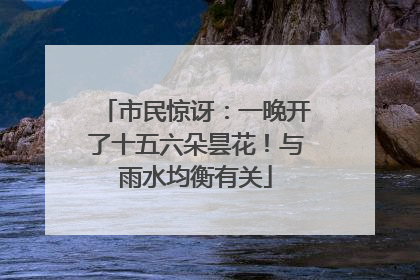 市民惊讶：一晚开了十五六朵昙花！与雨水均衡有关