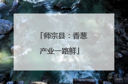 师宗县：香葱产业一路鲜