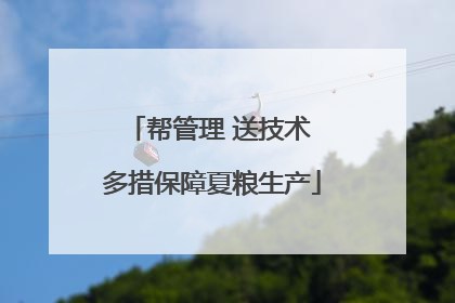 帮管理 送技术 多措保障夏粮生产