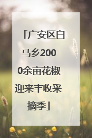 广安区白马乡2000余亩花椒迎来丰收采摘季