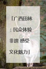 广西田林：民众体验非遗 感受文化魅力