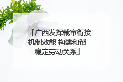 广西发挥裁审衔接机制效能 构建和谐稳定劳动关系