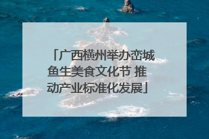 广西横州举办峦城鱼生美食文化节 推动产业标准化发展