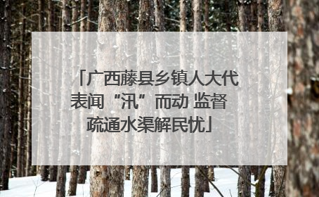 广西藤县乡镇人大代表闻“汛”而动 监督疏通水渠解民忧