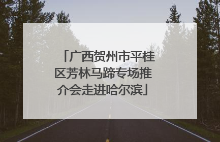 广西贺州市平桂区芳林马蹄专场推介会走进哈尔滨