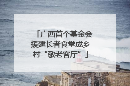 广西首个基金会援建长者食堂成乡村“敬老客厅”