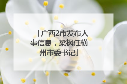 广西2市发布人事信息，梁枫任横州市委书记