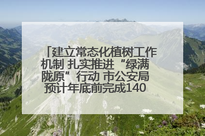 建立常态化植树工作机制 扎实推进“绿满陇原”行动 市公安局预计年底前完成1402亩绿化任务