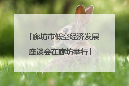廊坊市低空经济发展座谈会在廊坊举行