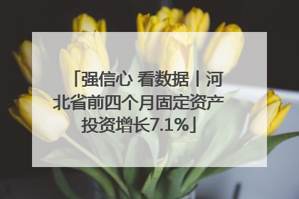 强信心 看数据丨河北省前四个月固定资产投资增长7.1%