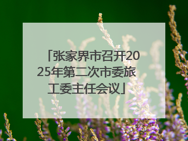 张家界市召开2025年第二次市委旅工委主任会议