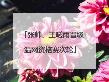 张帅、王曦雨晋级温网资格赛次轮