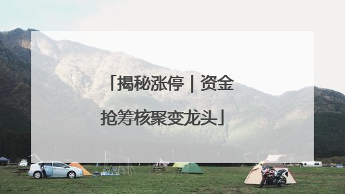 揭秘涨停｜资金抢筹核聚变龙头