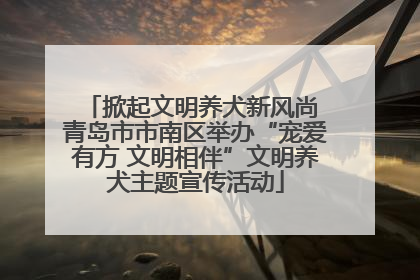 掀起文明养犬新风尚 青岛市市南区举办“宠爱有方 文明相伴”文明养犬主题宣传活动