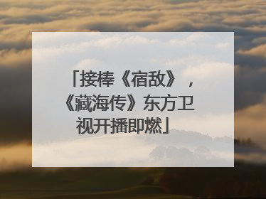 接棒《宿敌》，《藏海传》东方卫视开播即燃