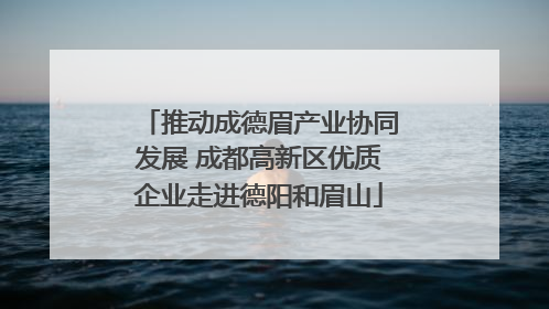 推动成德眉产业协同发展 成都高新区优质企业走进德阳和眉山
