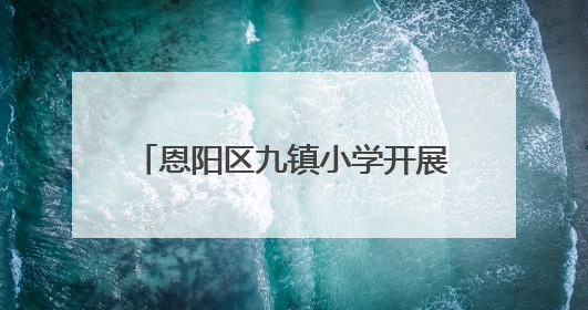 恩阳区九镇小学开展师德师风宣誓活动