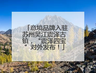 意境品牌入驻苏州吴江震泽古镇，“震泽四宝”对外发布！