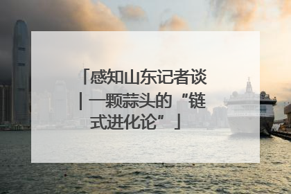 感知山东记者谈｜一颗蒜头的“链式进化论”