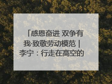 感恩奋进 双争有我·致敬劳动模范｜李宁：行走在高空的“电网卫士”