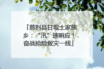 慈利县甘堰土家族乡：“汛”速响应！奋战抢险救灾一线